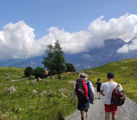 L'équipe CAELI ENERGIE évoluant dans un paysage verdoyant, synonyme d'un futur durable